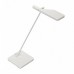 Светильник SLV PICOSI DESK