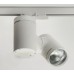 174-600S-10GJE/830 Трековый светильник HALLA TULPI